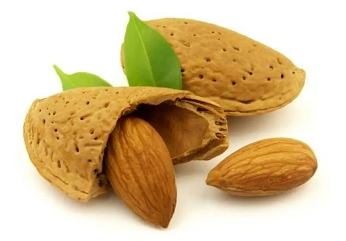 با این خوراکی ساده مغز خود را تقویت کنید