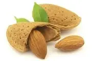 با این خوراکی ساده مغز خود را تقویت کنید