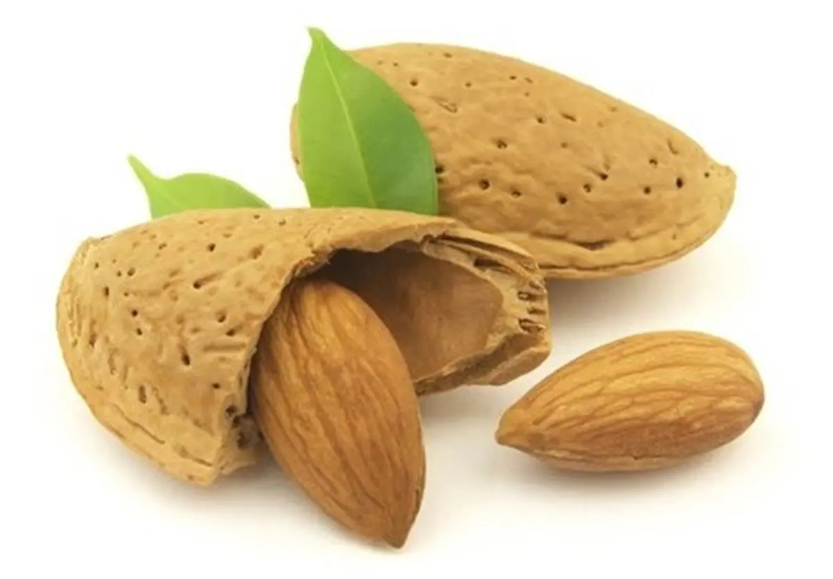 با این خوراکی ساده مغز خود را تقویت کنید