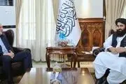 استقبال سفیر ایران در کابل از ممنوعیت کشت مواد مخدر در افغانستان