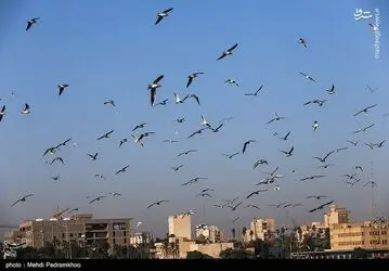 soBdoh8trkaa