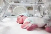 خدمات بیمه سلامت به زوجین نابارور
