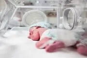 خدمات بیمه سلامت به زوجین نابارور
