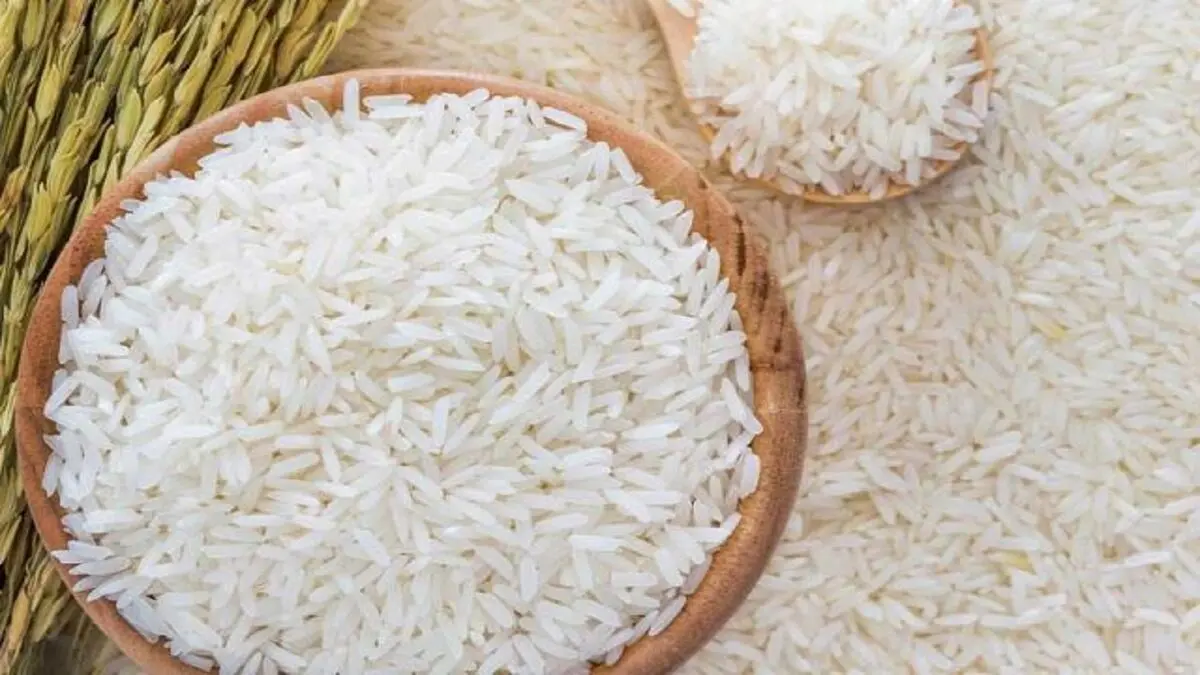 قیمت انواع برنج در بازار

