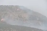 جنگل شلم ایلام دچار آتش سوزی شد