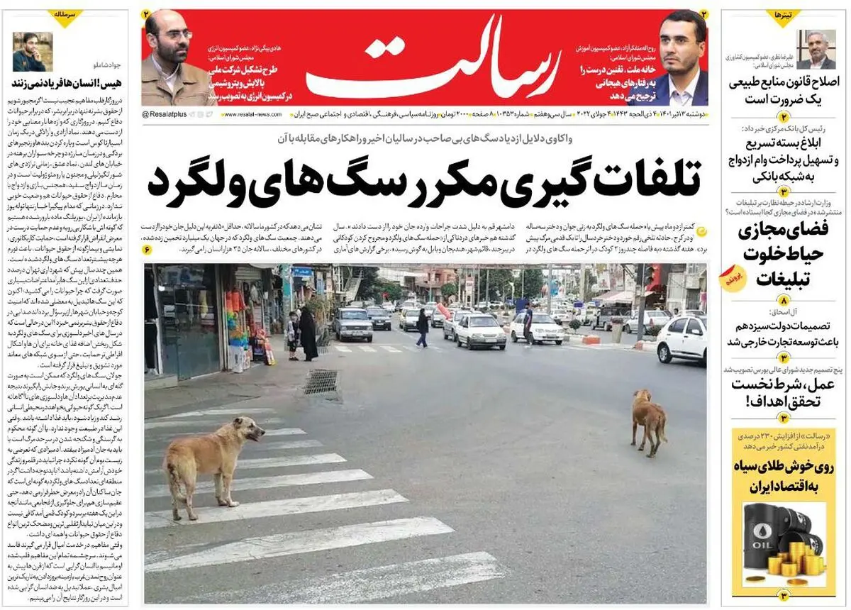 تلفات‌گیری مکرر سگ‌های ولگرد/جنگ اوکراین و زمزمه نفت 380 دلاری/کرونا خیز گرفت؟/پیشخوان