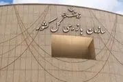 دستور ویژه برای بررسی حقوق و پاداش مدیران شرکت‌های دولتی