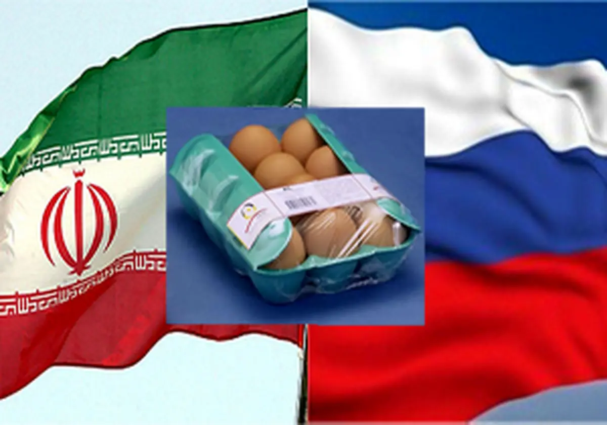 
صادرات تخم مرغ به روسیه
