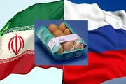 
صادرات تخم مرغ به روسیه
