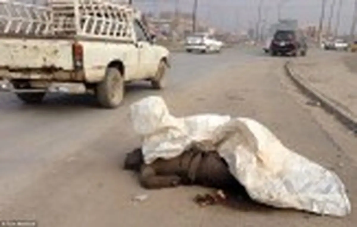 وقتی اجساد داعشی ها خوراک سگ ها می شود/ عکس