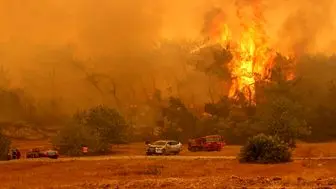 ادامه آتش سوزی در جنگل‌های ترکیه