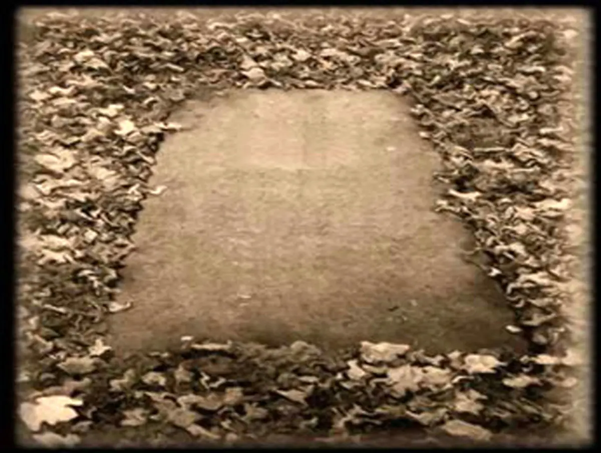 چند ساله شدی؟