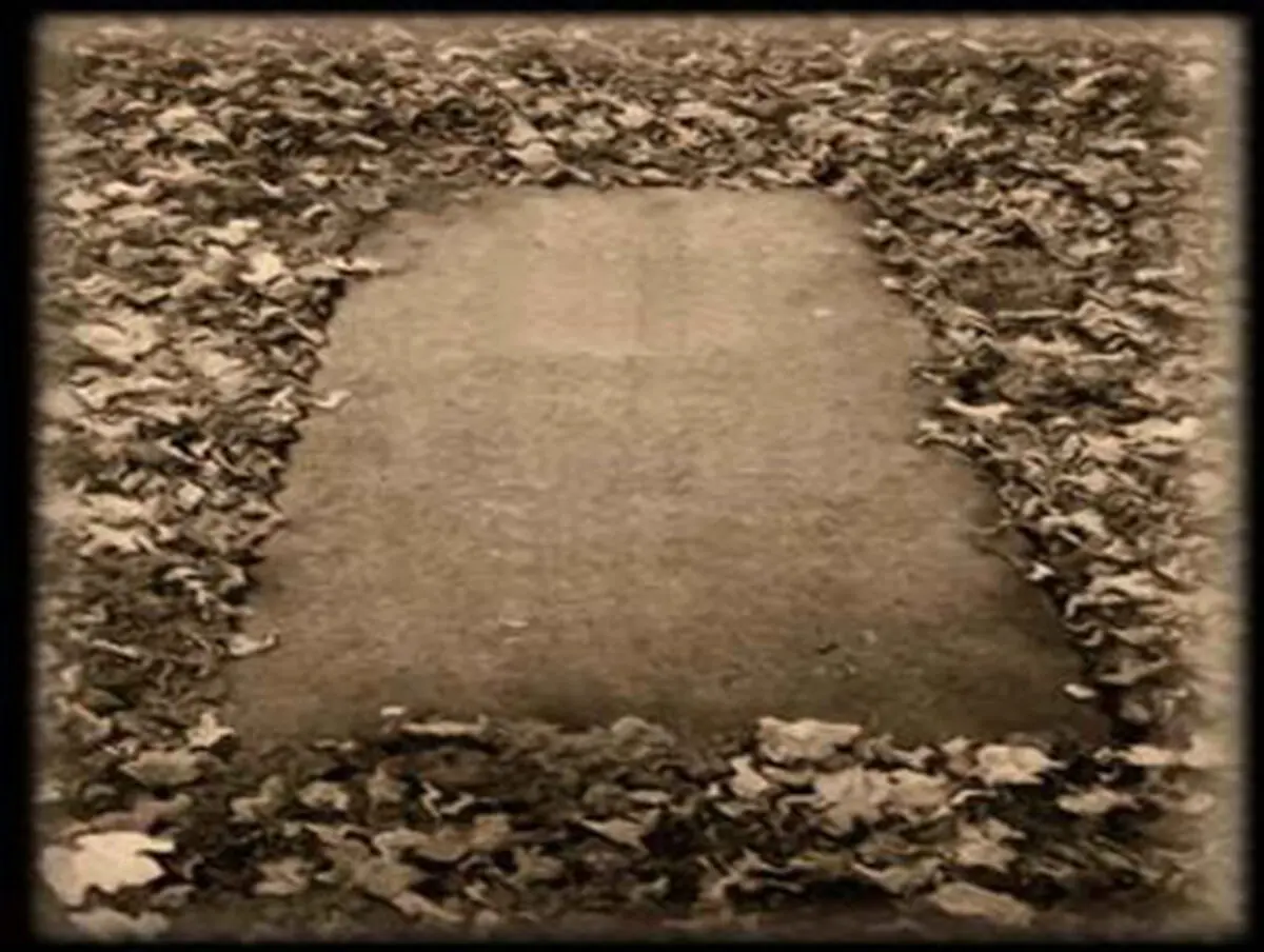 چند ساله شدی؟