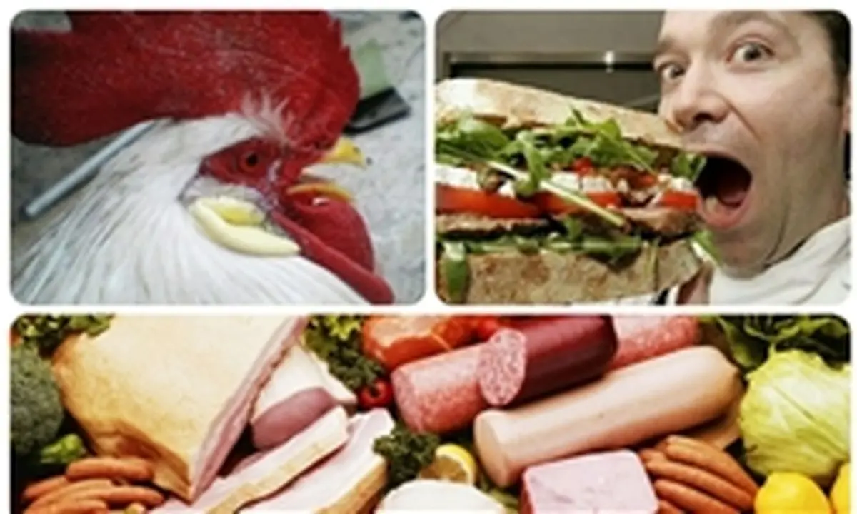 آزادشدن به کارگیری خمیرمرغ در تولید سوسیس و کالباس!
