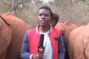 فیل بازیگوش برنامه زنده را بهم زد+ صحنه جالب