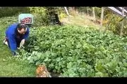 فواید بی شمار باغبانی