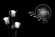 خوردن تخمه و تنقلات در ایام شهادت معصومین چه حکمی دارد؟