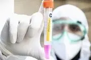 تا دوهفته دیگر واکسن کرونا به بازار می‌آید