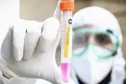 تا دوهفته دیگر واکسن کرونا به بازار می‌آید
