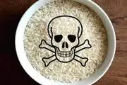 با سم آرسنیک برنج و دیگر مواد غذایی چه کنیم؟
