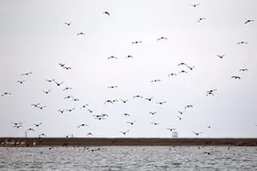 13951214001167636242323748818465_79223_PhotoU