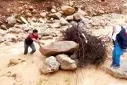 ببینید| معلم فداکار  بختیاری جان دو کودک را نجات داد
