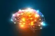 چرا دچار بیماری پارکینسون می‌شویم؟
