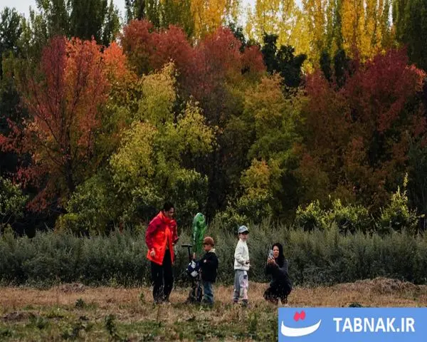 پاییز؛ شکوه رنگ‌ها در چهار گوشه جهان/گزارش تصویری