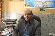 پیش بینی برداشت بیش از 10 هزار تن گندم در ابرکوه