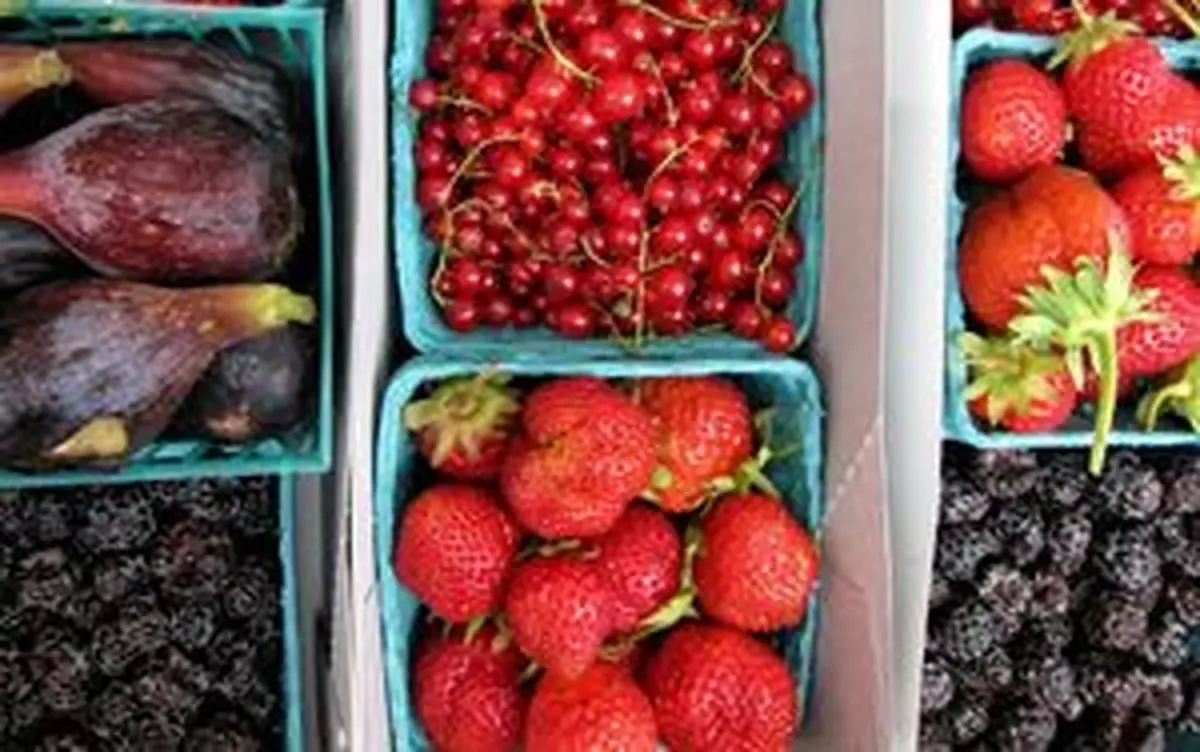 این مواد غذایی بدن را از کم آبی نجات میدهد