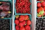 تاثیر بی نظیر مصرف میوه در پیشگیری از کرونا