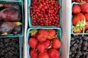 این مواد غذایی بدن را از کم آبی نجات می‌دهد
