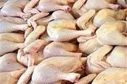 سالانه ۱۹۰ هزار تن گوشت مرغ در استان فارس تولید می‌شود 