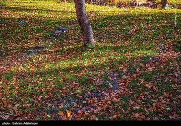 yzXF1QXcCPAH