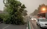 هواشناسی، طوفان‌های تهران تا کی ادامه دارد؟