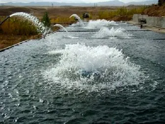 تولید 12207 تن ماهی در استخر های دومنظوره زنجان