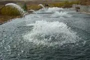 تولید 12207 تن ماهی در استخر های دومنظوره زنجان