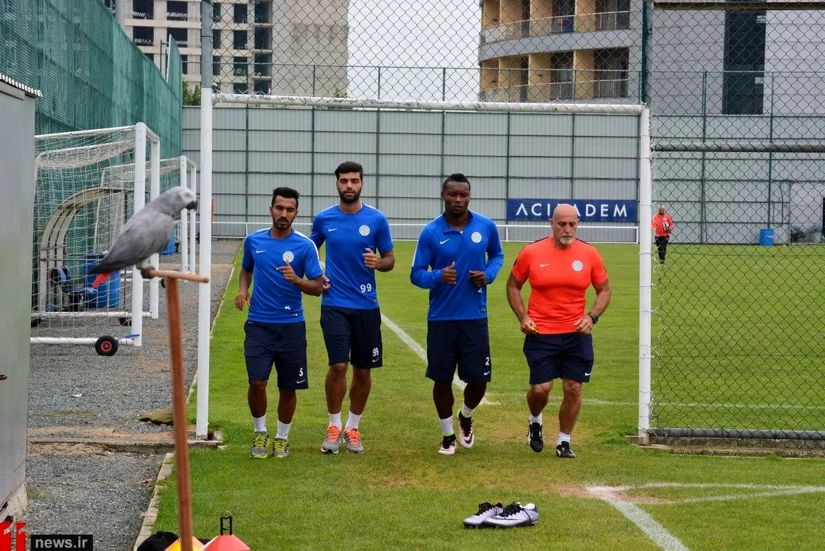شایعات تمام شد!/علت غیبت طارمی در تمرین ریزه اسپور
