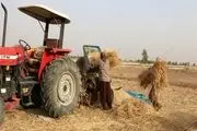 تصاویری دیدنی از خرمن کوبی کشاورزان بافقی
