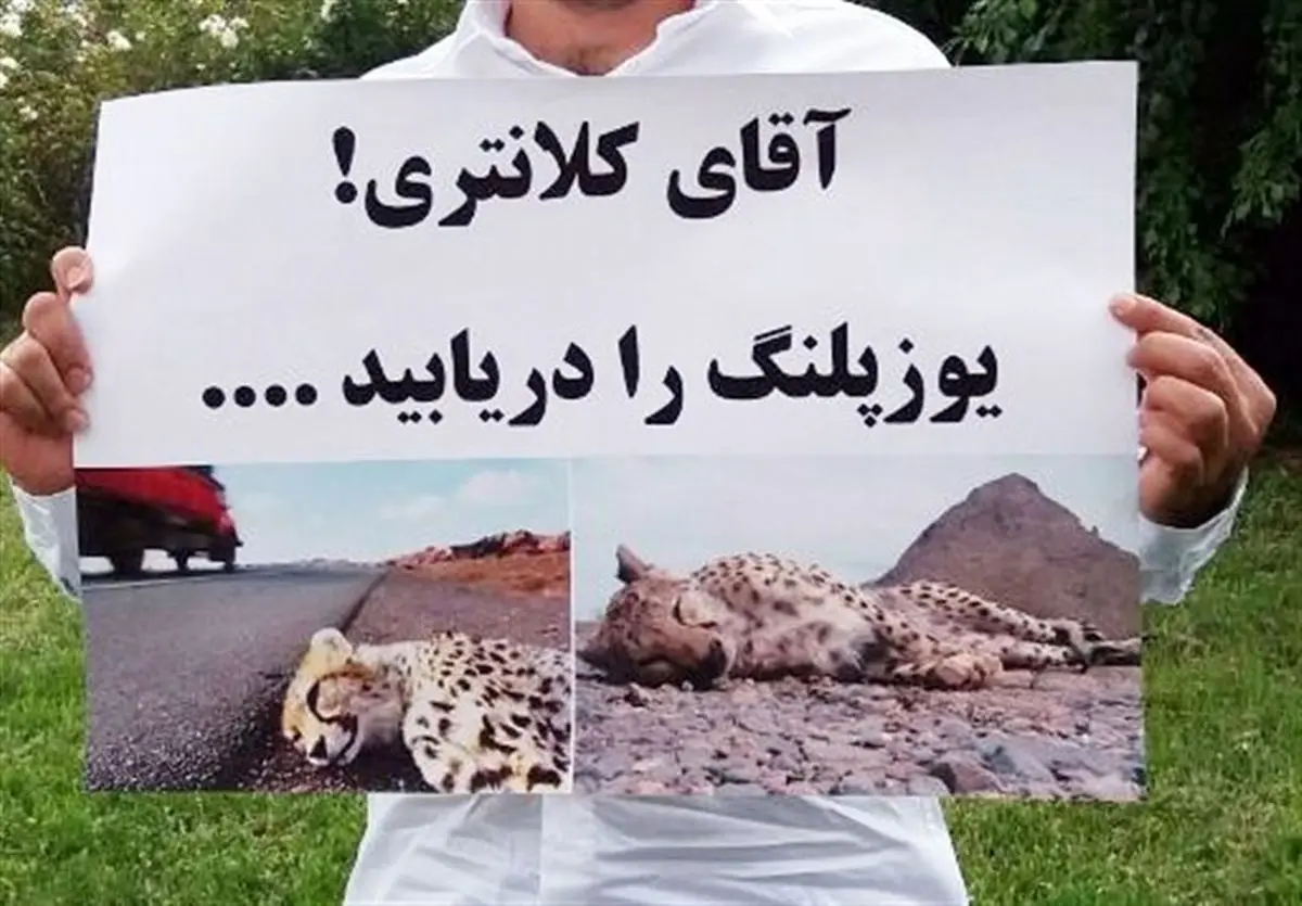 رویکرد کلانتری نسبت به پروژه حفاظت از یوز