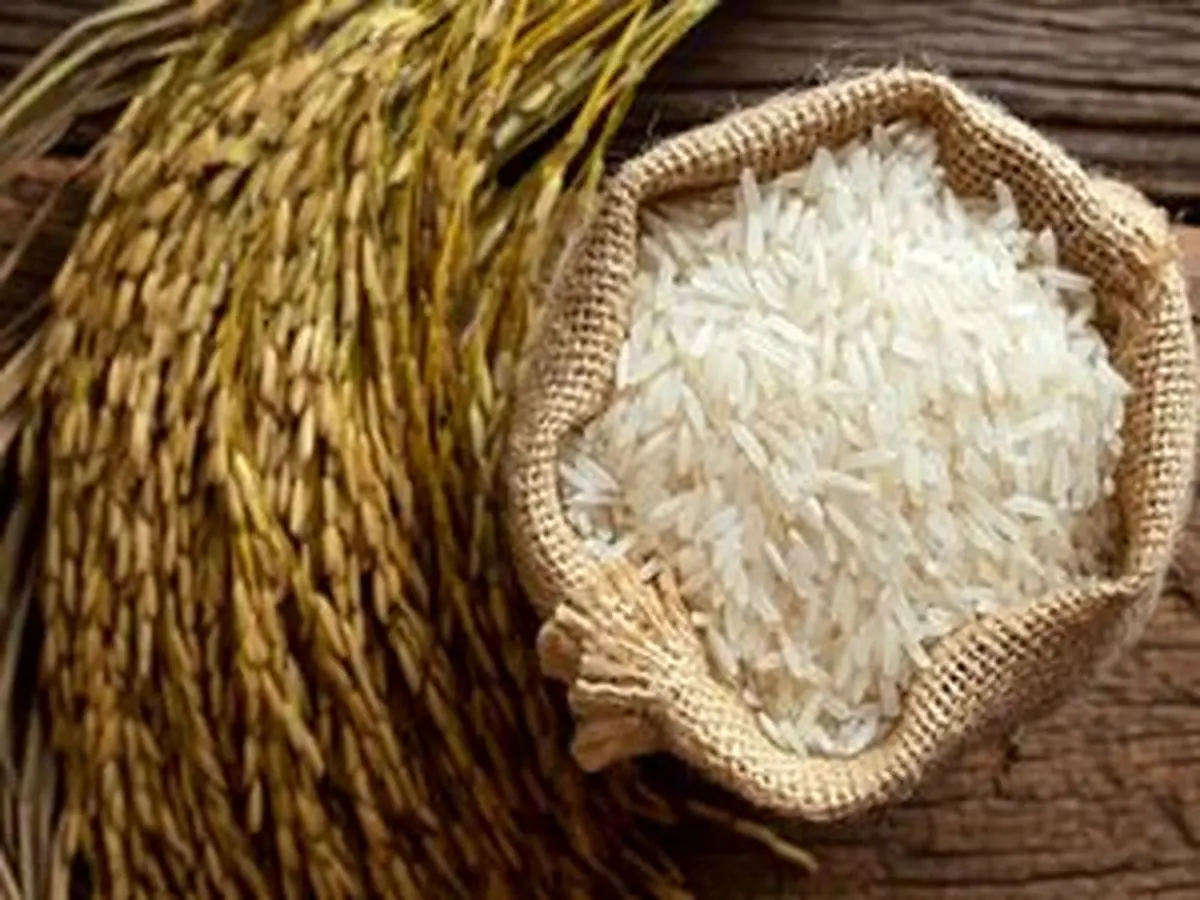 قیمت برنج خارجی آزاد و رقابتی میشود