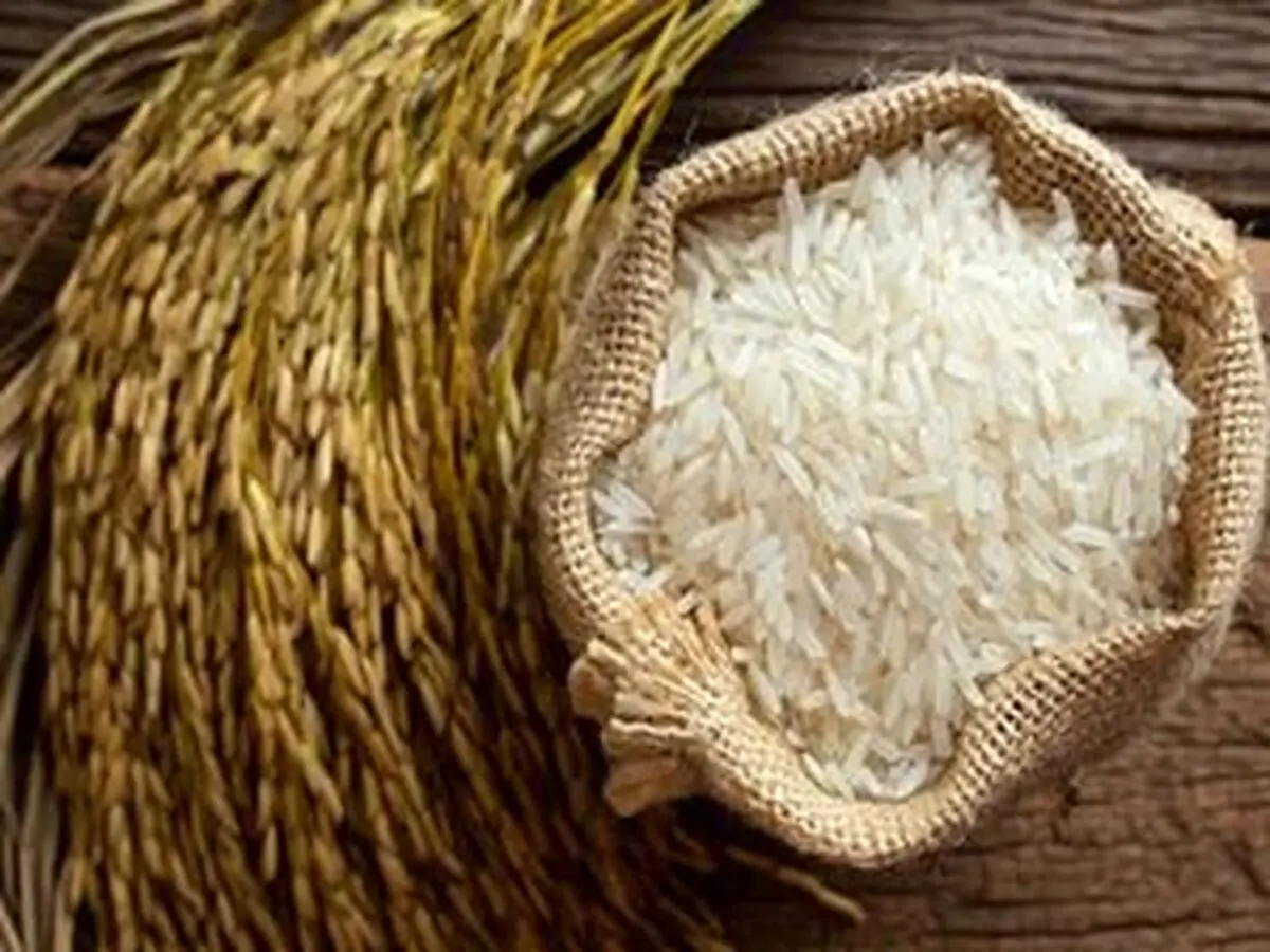 
قیمت برنج خارجی آزاد و رقابتی می‌شود
