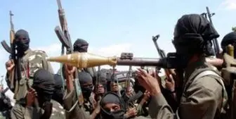 دولت چاد از پاکسازی تروریست های بوکو حرام خبر داد 
