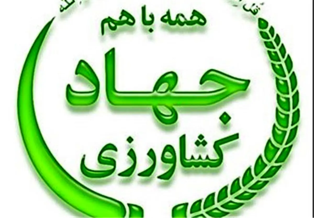 "دولت" به جان "دولت" افتاد