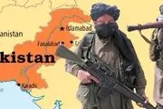 طالبان پاکستان اعلام آتش بس کرد