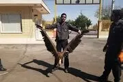 شکار کرکس توسط مأموران آتش نشانی 