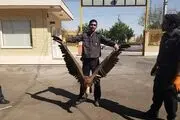 شکار کرکس توسط مأموران آتش نشانی 
