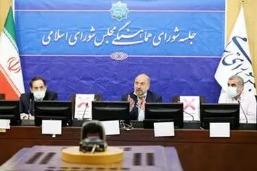نشست شورای هماهنگی مجلس 