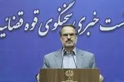 قدردانی سخنگوی قوه قضاییه از اقدام اخیر هیات نظارت بر مطبوعات