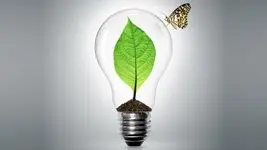 تامین برق مورد نیاز به کمک گیاهان!